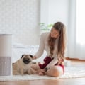 Keep Your Home Dust-Free with 20x25x5 Furnace Air Filters