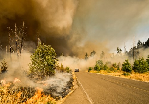 What States Have the Most Wildfires? Secure Your Home's Air Quality With Duct Sealing Service